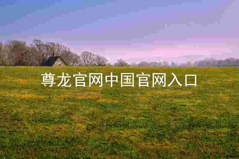 尊龙官网中国官网入口
