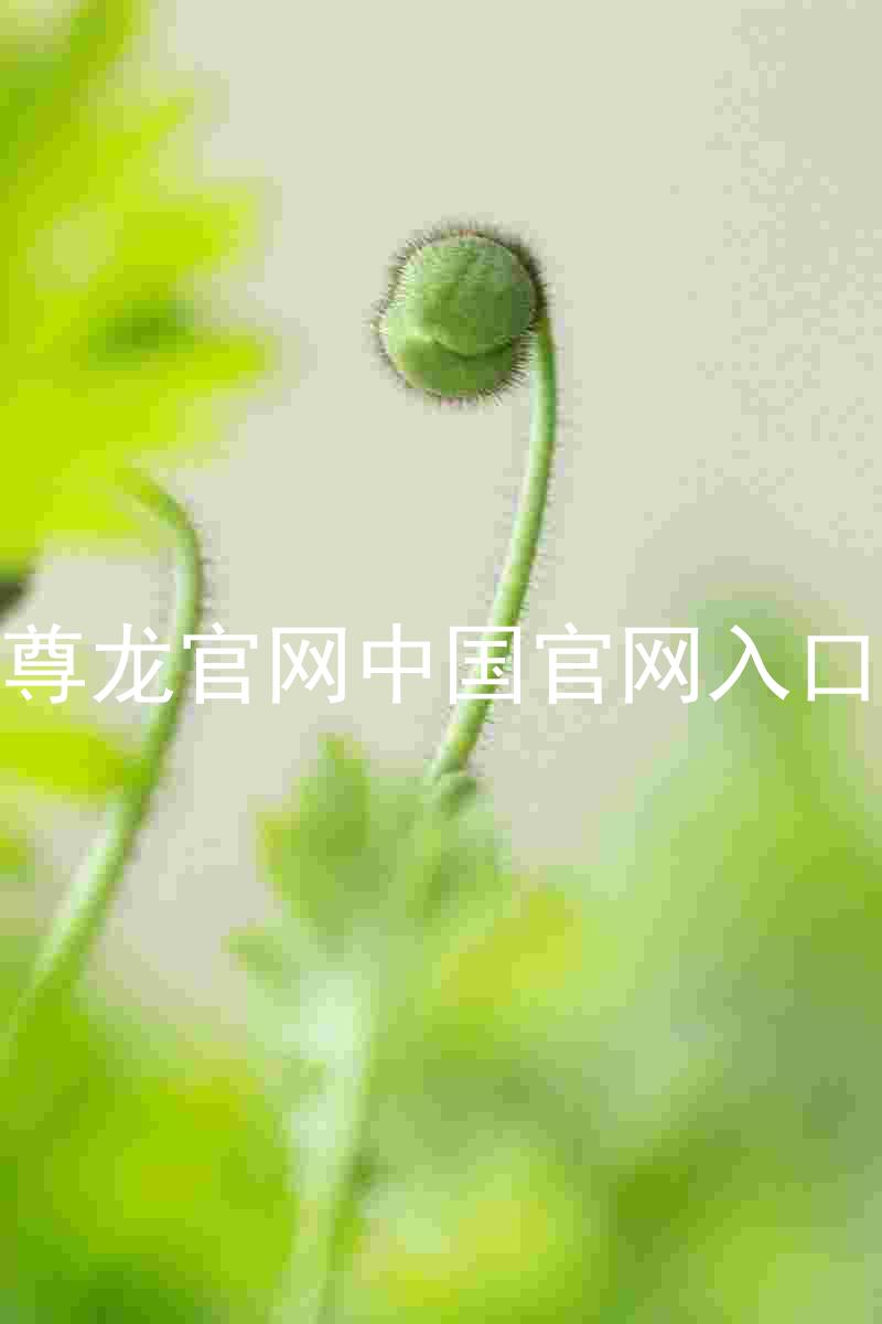 尊龙官网中国官网入口