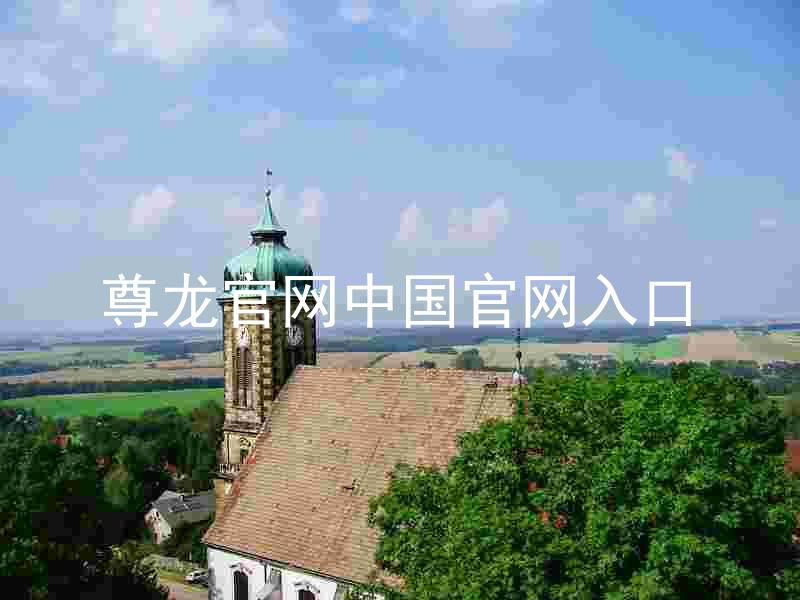 尊龙官网中国官网入口