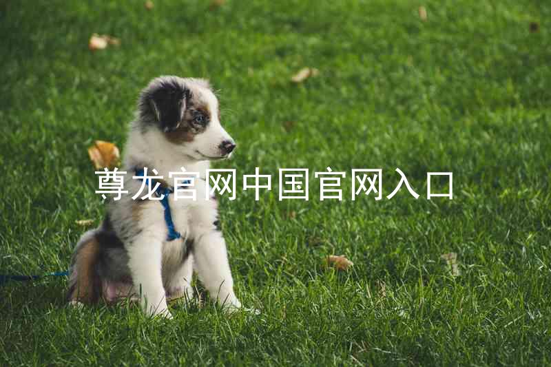 尊龙官网中国官网入口