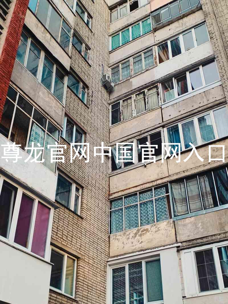 尊龙官网中国官网入口