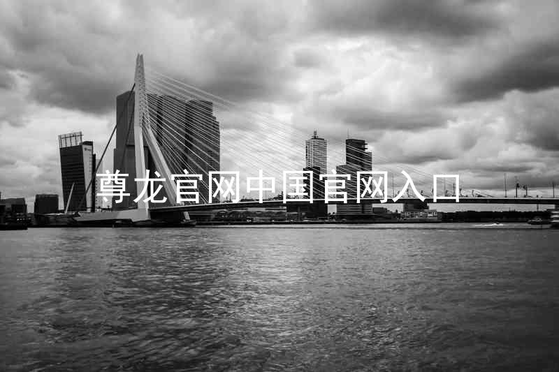 尊龙官网中国官网入口