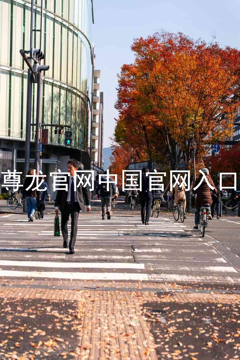尊龙官网中国官网入口