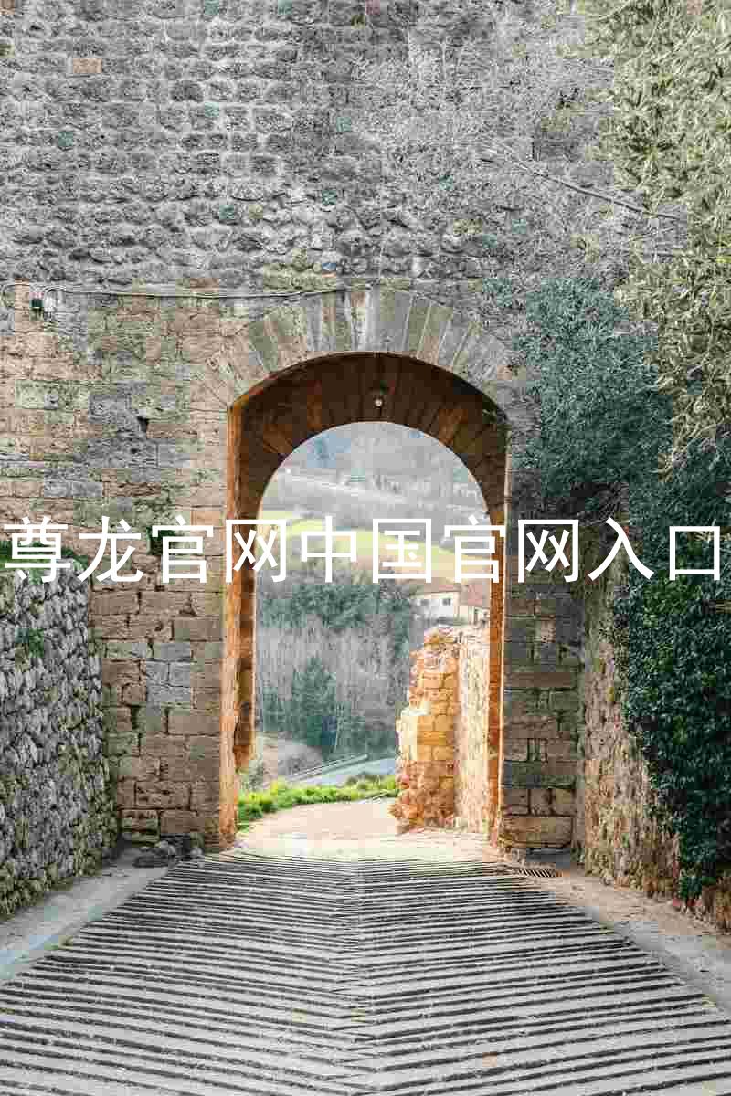 尊龙官网中国官网入口