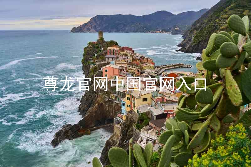 尊龙官网中国官网入口