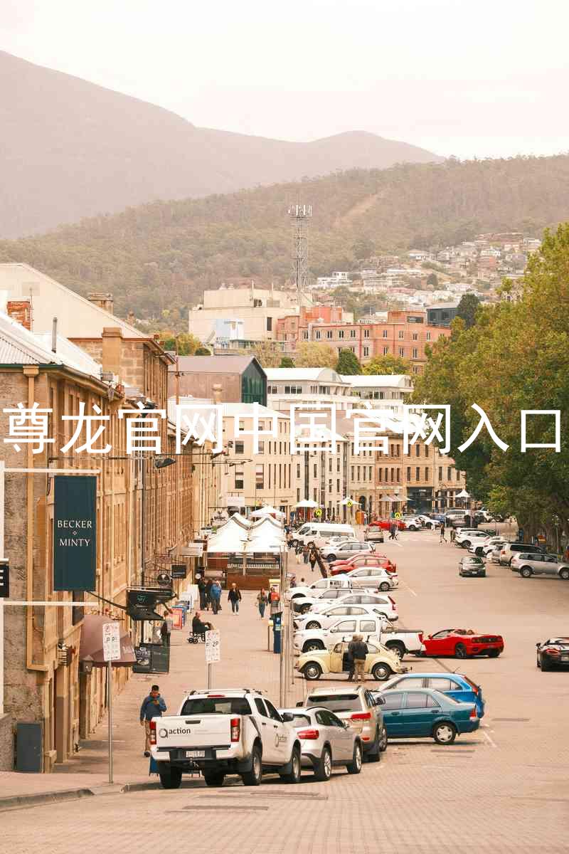 尊龙官网中国官网入口